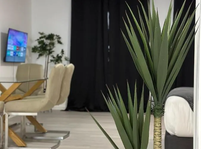 Living * Funchal (Madeira)